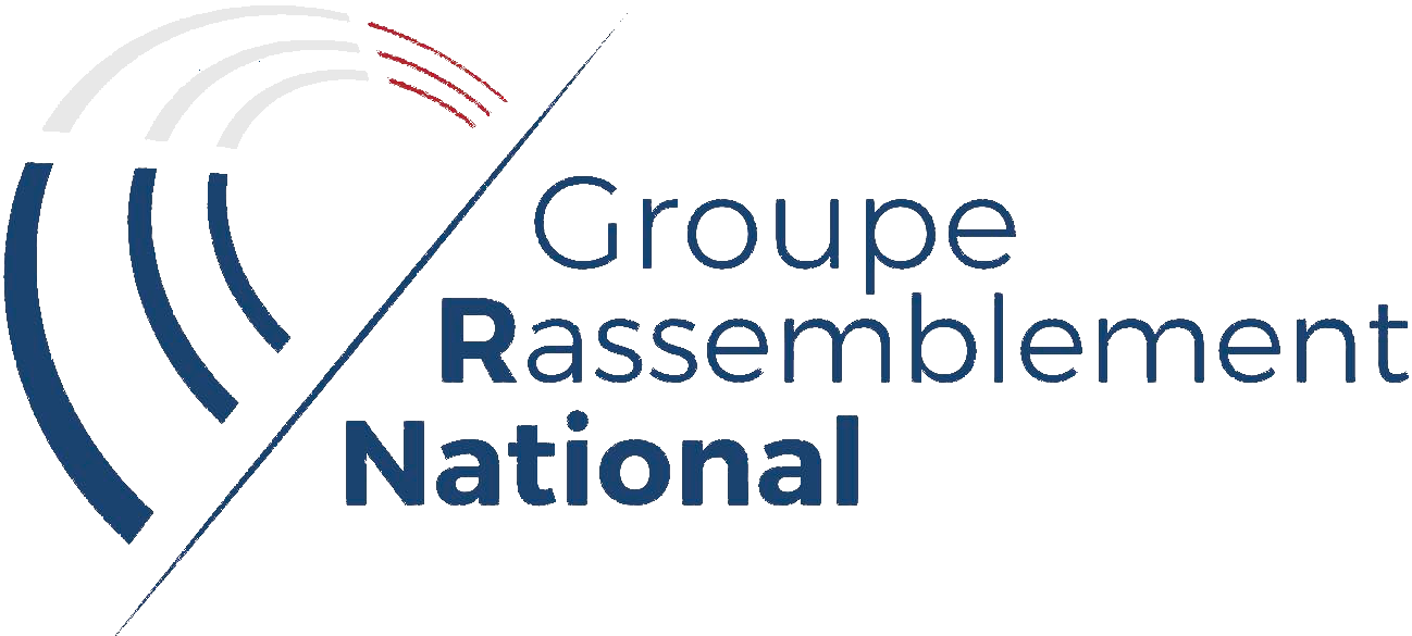 Logo du groupe Rassemblement National